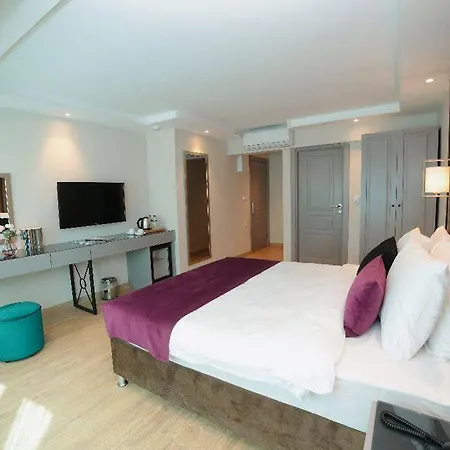 Szálloda The Roomy Sisli