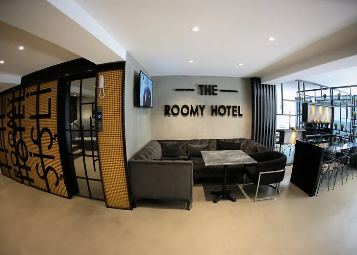 Szálloda The Roomy Sisli 3*