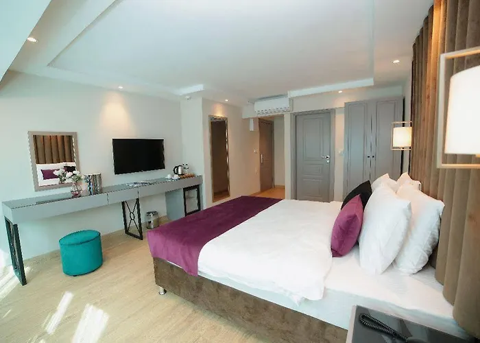 Hotel The Roomy Sisli