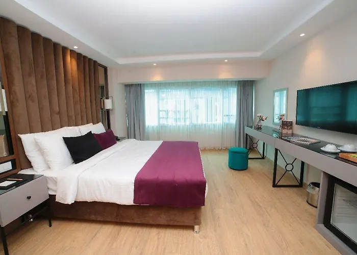 The Roomy Sisli Hotel Istanbulská provincie